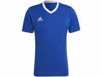 adidas Men's ENT22 JSY T-Shirt, Team royal Blue, XL
