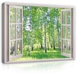 WallArena - Leinwand Bilder - Fensterbilck Wald Gr&uuml;n Birkenwald Natur - 80x60 cm