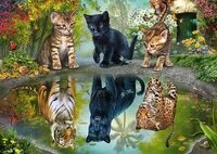Schmidt Spiele 57392 Dream Big, Katzen, 1000 Teile Puzzle