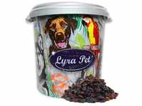 Lyra Pet® | 10 kg Rosinen + 30 L Tonne | Ganzjahres Wildvogelfutter |...