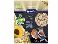 Lyra Pet® | 25 kg Erdnusskerne Halbe Blanchiert | Nährstoffreiches...