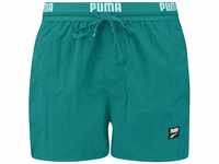 PUMA Herren Shorts, Teal, XL