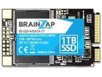 BRAINZAP 1TB 1000GB mSATA SSD - SATA III 6 GBit/s - Mini SATA - 550MB/s Lesen...
