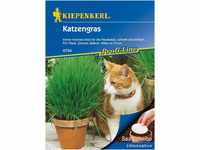 Katzengras 5 Stück Saatscheiben, immer frisches Grün für die Hauskatze,...