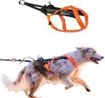 Freemotion Harness 5.0 Parent Listing (Orange/Black, 6)