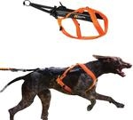 Freemotion Harness 5.0 Parent Listing (Orange/Black, 8)