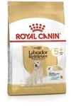 ROYAL CANIN Labrador Retriever Adult 5+ - 12 kg