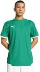 PUMA Herren Teamliga Jersey Shirt, Pepper Green-puma White, XL EU