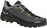 Salewa ALP Trainer 2 GTX M, 44.5, Onyx/Black