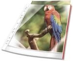 Durable Prospekth&uuml;lle Premium mit farbigem Rand A4 glasklar PP Btl. &agrave; 25, rot,