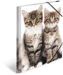 HERMA Sammelmappen A4 Katzen Set, 3 St&uuml;ck, Kinder Eckspanner-Mappen aus Kunststoff