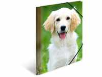 HERMA 7139 Sammelmappe A4 Tiere Hunde, Kinder Eckspanner-Mappe aus Kunststoff mit