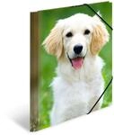 HERMA Sammelmappe A4 Hunde, Kinder Eckspanner-Mappe aus Kunststoff mit Tier Motiv,