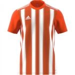adidas Performance Striped 21 Trikot Kurzarm orangeweiss, M Herren