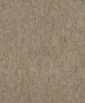 Rasch Tapete 538342 - Goldene Vliestapete mit Kork-Optik im industriellen Design aus