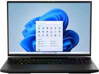 MEDION ERAZER Beast X40 43,2cm (17" Zoll 240Hz) QHD+ Gaming Notebook (Intel Core