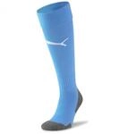 Team Liga Socks CORE
