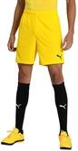 PUMA Herren teamGOAL 23 knit Shorts, Cyber Yellow, S