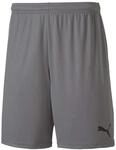 PUMA Herren teamGOAL 23 knit Shorts, Steel Gray, S