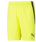 PUMA teamLIGA Shorts