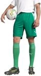 PUMA teamLIGA Shorts