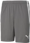 Puma Unisex Teamliga Boardshorts, Smoked Pearl-Puma White, M EU