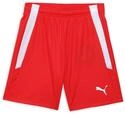 PUMA Unisex Kinder Teamliga Jr Shorts, Puma Red-puma White, 152 EU
