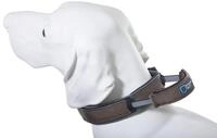 Armored Tech Dog Control Halsband mit integrierter Kurzleine (XL - Halsumfang 51-60