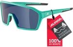 ALPINA RAM Q-LITE Sportbrille, turquoise blur matt, One Size