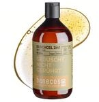 BenecosBIO Duschgel 2in1 Geduscht, nicht ger&uuml;hrt - Bio-Olive - zertifizierte