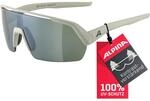 ALPINA Turbo Hr Q-lite Sonnenbrille, cool-grey matt, One Size