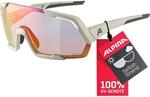 ALPINA ROCKET QV Sportbrille, cool-grey matt, One Size