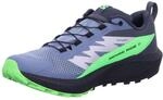 Salomon Sense Ride 5 GTX Trailrunningschuhe India Ink/Carbon/Dragon Fire UK
