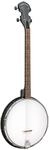Gold Tone AC-4 Tenor-Banjo 4-saitig inkl. Gigbag