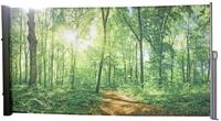 Garden Pleasure Seitenmarkise Motiv Waldlichtung grau 160x300 Markise Seite...