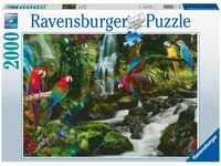 Ravensburger Puzzle 17111 - Bunte Papageien im Dschungel - 2000 Teile Puzzle für