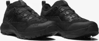 Salomon L47595700034, Salomon Alpinway Advanced Black / Black