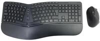 Conceptronic ORAZIO02PT Ergo Kabelloses Set aus ergonomischer Tastatur und vertikaler