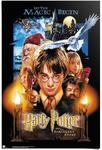 REINDERS Poster, Harry Potter, Kinderzimmer, Poster, Wanddeko, Room Decor,