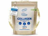 Collagen Pulver 1 KG - Bioaktives Kollagen Hydrolysat Peptide, Eiweiß-Pulver