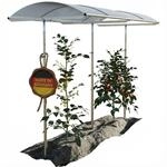 Beckmann Tomatendach PSN1 &ndash; Stabile Tomaten&uuml;berdachung & &Uuml;berdachung f&uuml;r