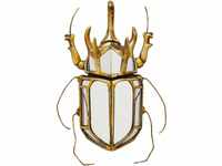 Kare Design Wandschmuck Beetle Mirror, Gold, Wandschmuck, Käfer, Glas verspiegelt,