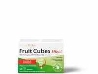 Sanatura Fruit Cubes 12 Stück - Früchtewürfel für eine gesunde Verdauung -...