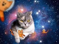 Ravensburger Puzzle 17439 Katzen fliegen im Weltall - 1500 Teile Puzzle f&uuml;r