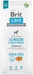 BRIT Care Dog Grain Free Junior Large Lachs, 12 kg