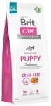 BRIT Care Dog Puppy Grain Free Lachs, 12 kg