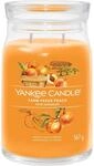 Yankee Candle Signature Duftkerze | gro&szlig;e Kerze mit langer Brenndauer &bdquo;Farm Fresh