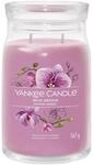 Yankee Candle Signature Duftkerze | gro&szlig;e Kerze mit langer Brenndauer &bdquo;Wild...