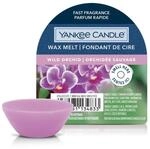 Yankee Candle Wild Orchid Wachsschmelze