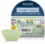 Yankee Candle Gurke Mint Cooler Wachs Melt